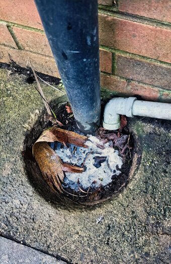 https://blockeddrainstrigg.com.au/uploads/2025/07/blocked-drains-90695.jpg