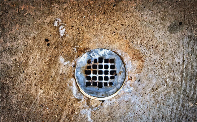 https://blockeddrainstrigg.com.au/uploads/2025/07/blocked-shower-drains-20432.jpg