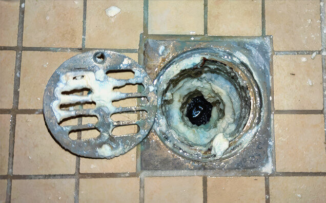 https://blockeddrainstrigg.com.au/uploads/2025/07/blocked-shower-drains-33151.jpg
