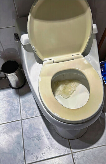 https://blockeddrainstrigg.com.au/uploads/2025/07/blocked-toilet-27293.jpg