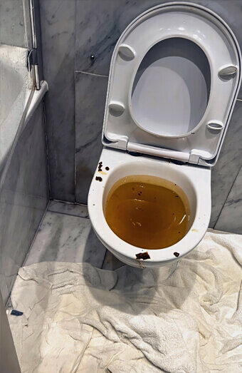 https://blockeddrainstrigg.com.au/uploads/2025/07/blocked-toilet-27793.jpg