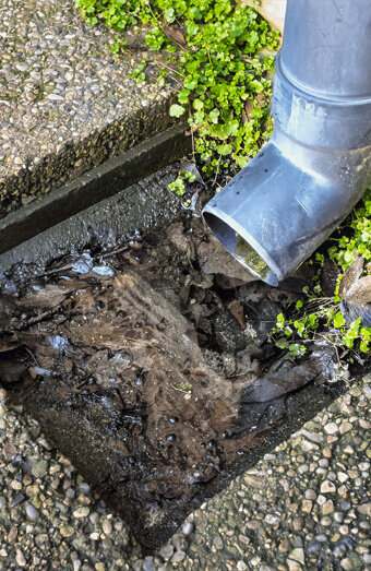 https://blockeddrainstrigg.com.au/uploads/2025/07/hero-blocked-sewers-20143.jpg