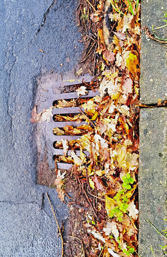 https://blockeddrainstrigg.com.au/uploads/2025/07/stormwater-drains-48051.jpg