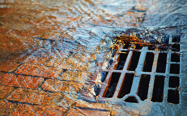 https://blockeddrainstrigg.com.au/uploads/2025/07/stormwater-drains-91028.jpg
